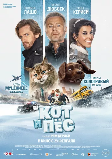 постер Кот и пёс