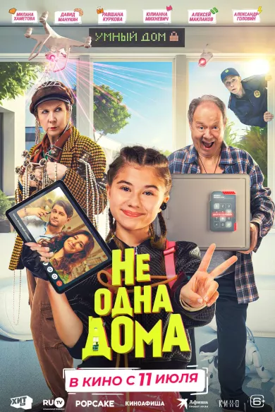 постер Не одна дома