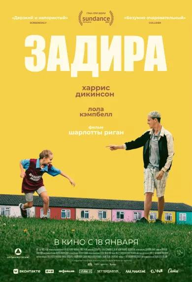 постер Задира