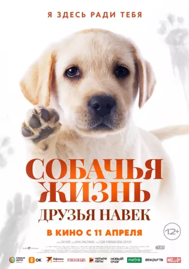 постер Собачья жизнь: Друзья навек