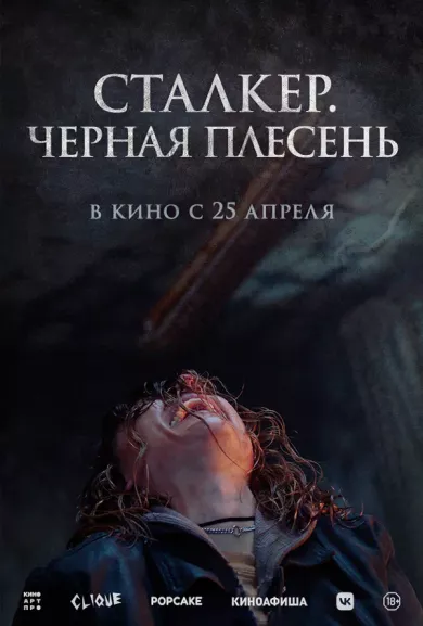 постер Сталкер. Черная плесень