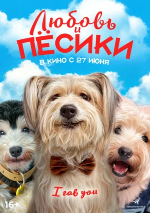 постер Любовь и пёсики