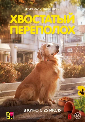 постер Хвостатый переполох