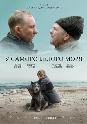 постер У самого Белого моря