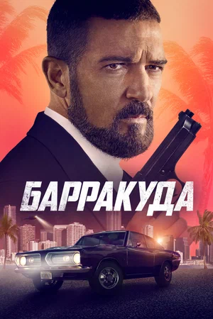 постер Барракуда