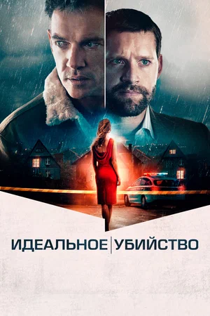 постер Идеальное убийство