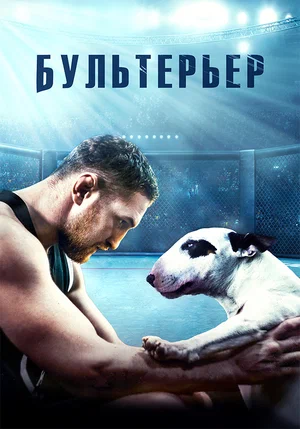 постер Бультерьер
