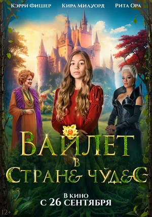 постер Колодец чудес