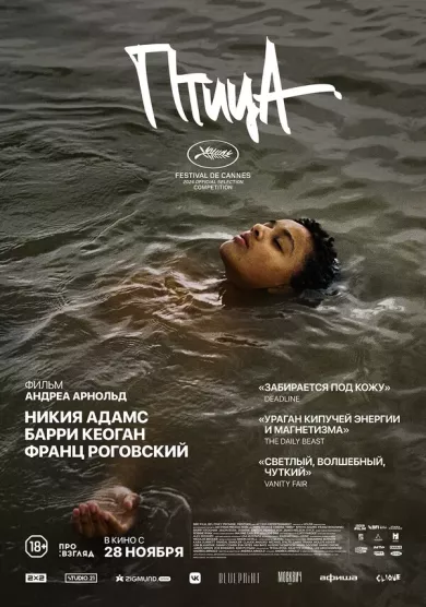 постер Птица