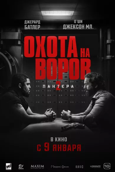 постер Охота на воров 2: Пантера