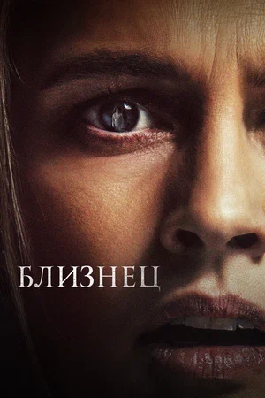 постер Близнец