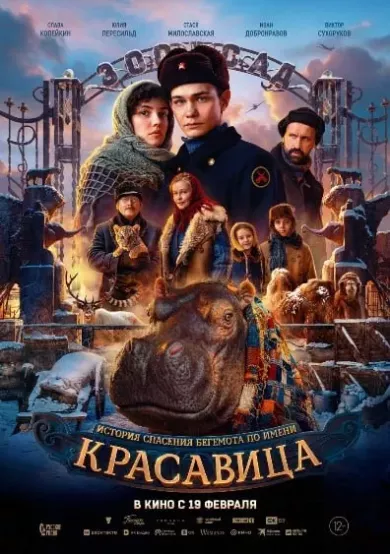 фильм Красавица описание серий