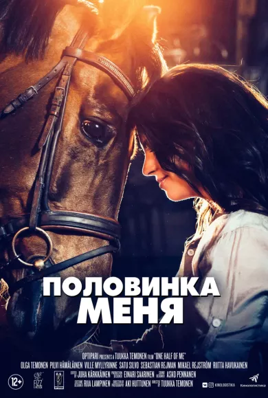 фильм Половинка меня описание серий