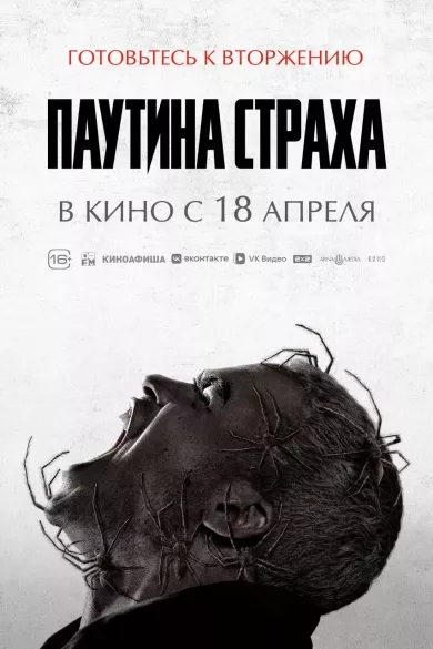 постер Паутина страха