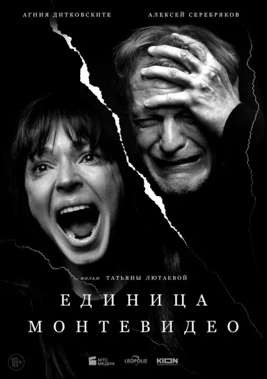 постер Единица Монтевидео