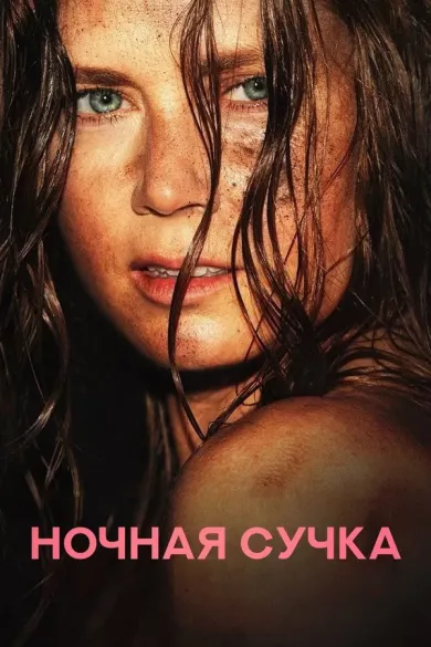 постер Ночная сучка