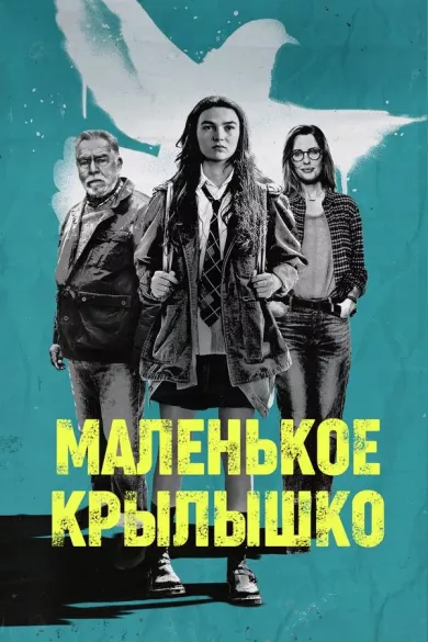 постер Маленькое крылышко