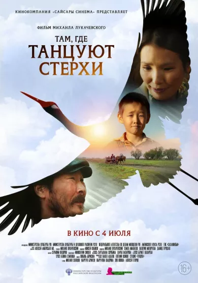 постер Там, где танцуют стерхи