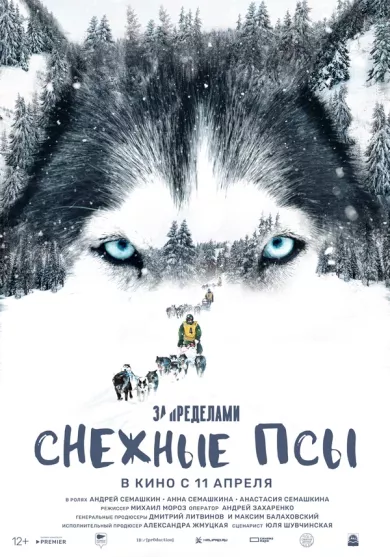 постер За пределами. Снежные псы