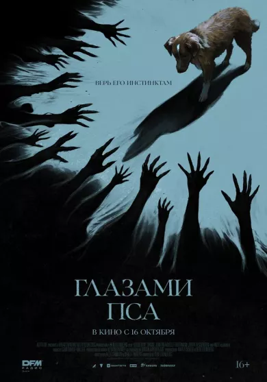 постер Глазами пса