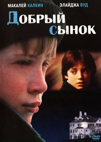 постер Добрый сынок