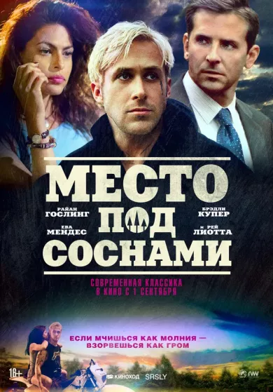 постер Место под соснами