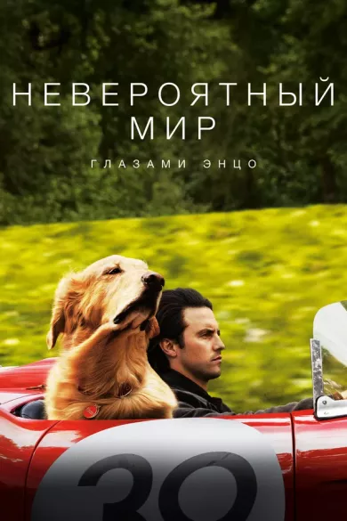 постер Невероятный мир глазами Энцо