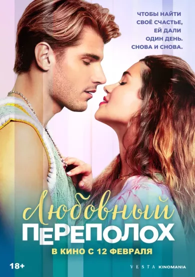 постер Любовный переполох