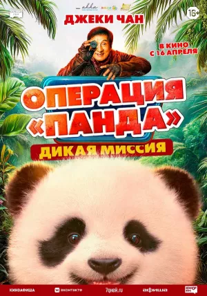 Операция «Панда». Дикая миссия