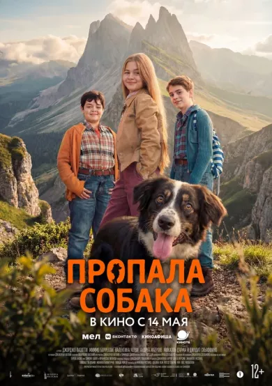 постер Пропала собака