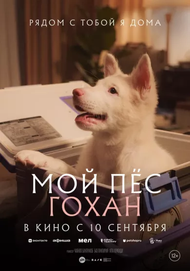 постер Мой пёс Гохан