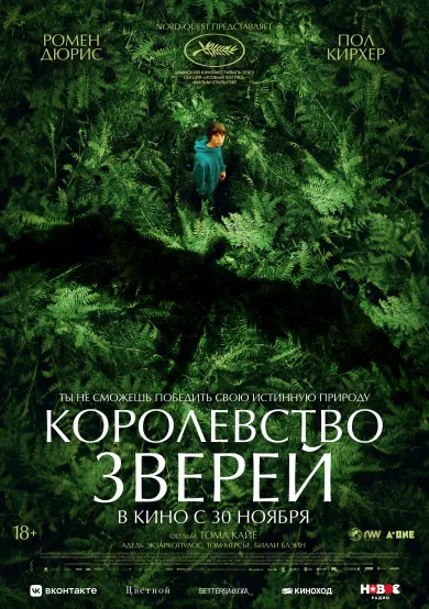 постер Королевство зверей