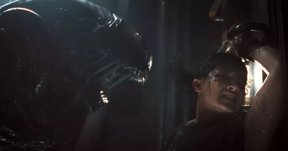 фото для статьи У режиссера «Чужого: Ромул» Феде Альвареса есть планы на сиквел, но придется подождать