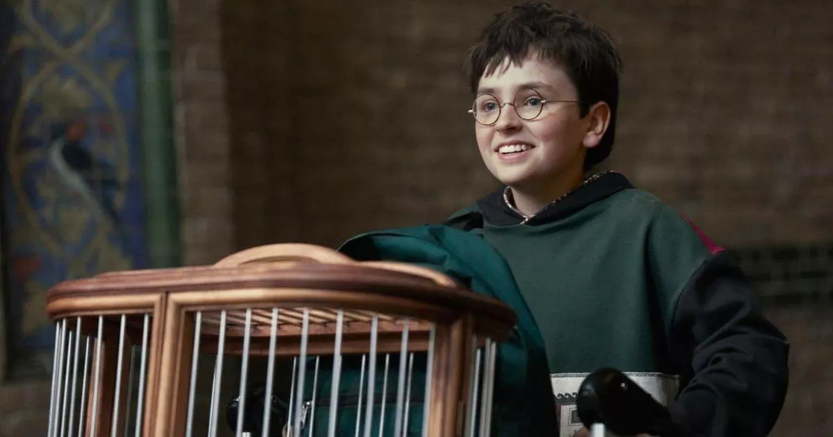 Что и кого показали в первом трейлере сериала «Гарри Поттер и философский камень»?