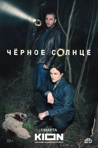 постер Чёрное солнце