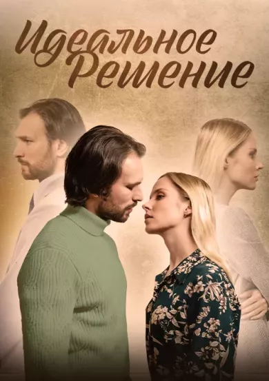 постер Идеальное решение