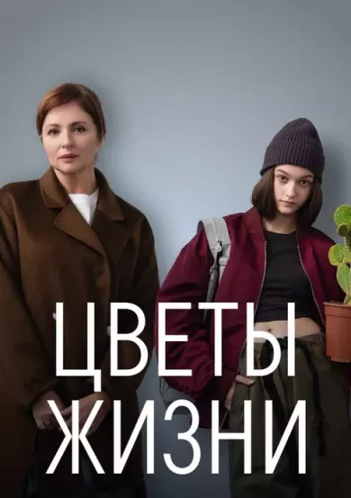 постер Цветы жизни