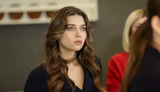 24 серия