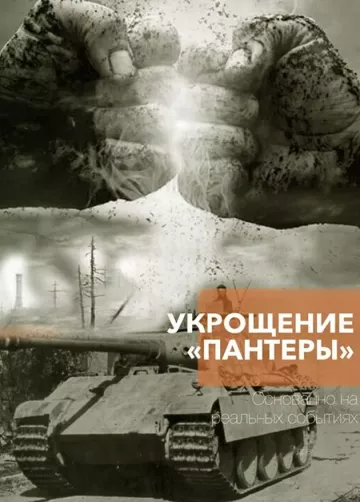 Укрощение «Пантеры» постер