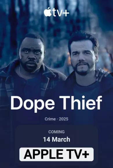 Нарковоры (сериал 2025)