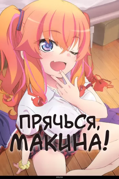 постер Прячься, Макина!