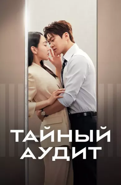 сериал Тайный аудит описание серий