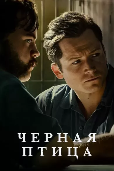 постер Чёрная птица