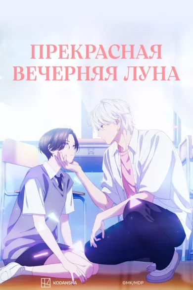 постер Прекрасная вечерняя луна