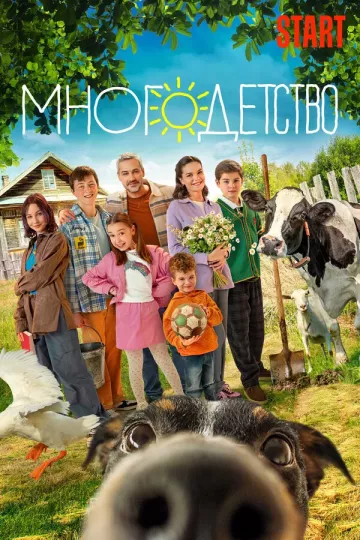 Многодетство