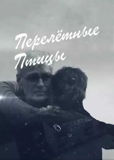 постер Перелётные птицы