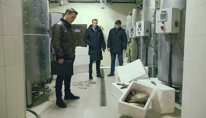 фото для сериала Великолепная пятёрка 6 сезон 70 серия