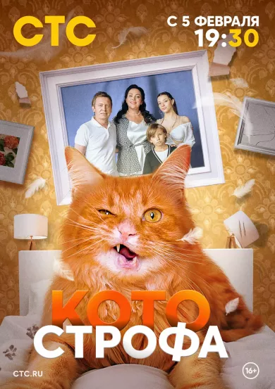 постер Котострофа