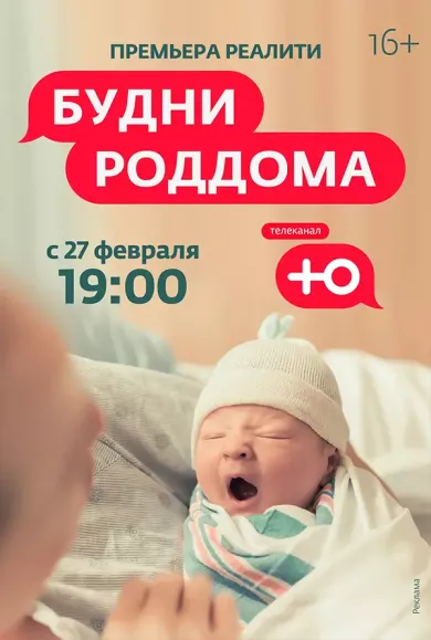 постер Будни роддома